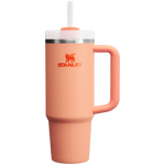 Stanley Quencher H2.O FlowState Tumbler Cup 30 OZ In Nectarine Orange
