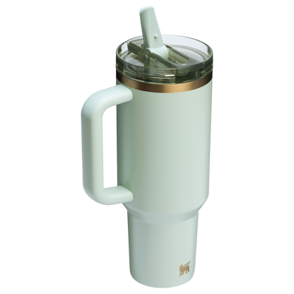 The Stanley Quencher ProTour Flip Straw Insluated Tumbler 40 Oz in Gilded Celadon