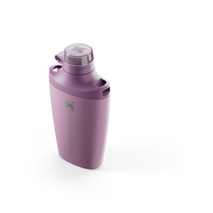 Stanley Crossbody Water Bottle in Lilac
