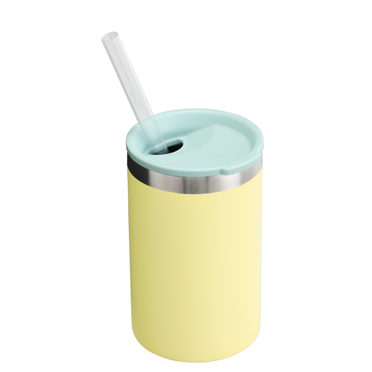 The Everyday Can Cooler Cup | 10 OZ