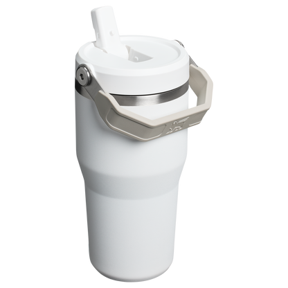Stanley 20 OZ ProTour Flip Straw Tumbler Cup In Frost White