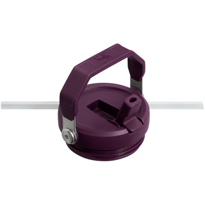 The Stanley IceFlow Flip Straw Tumbler 30 OZ in Tigerlily Plum