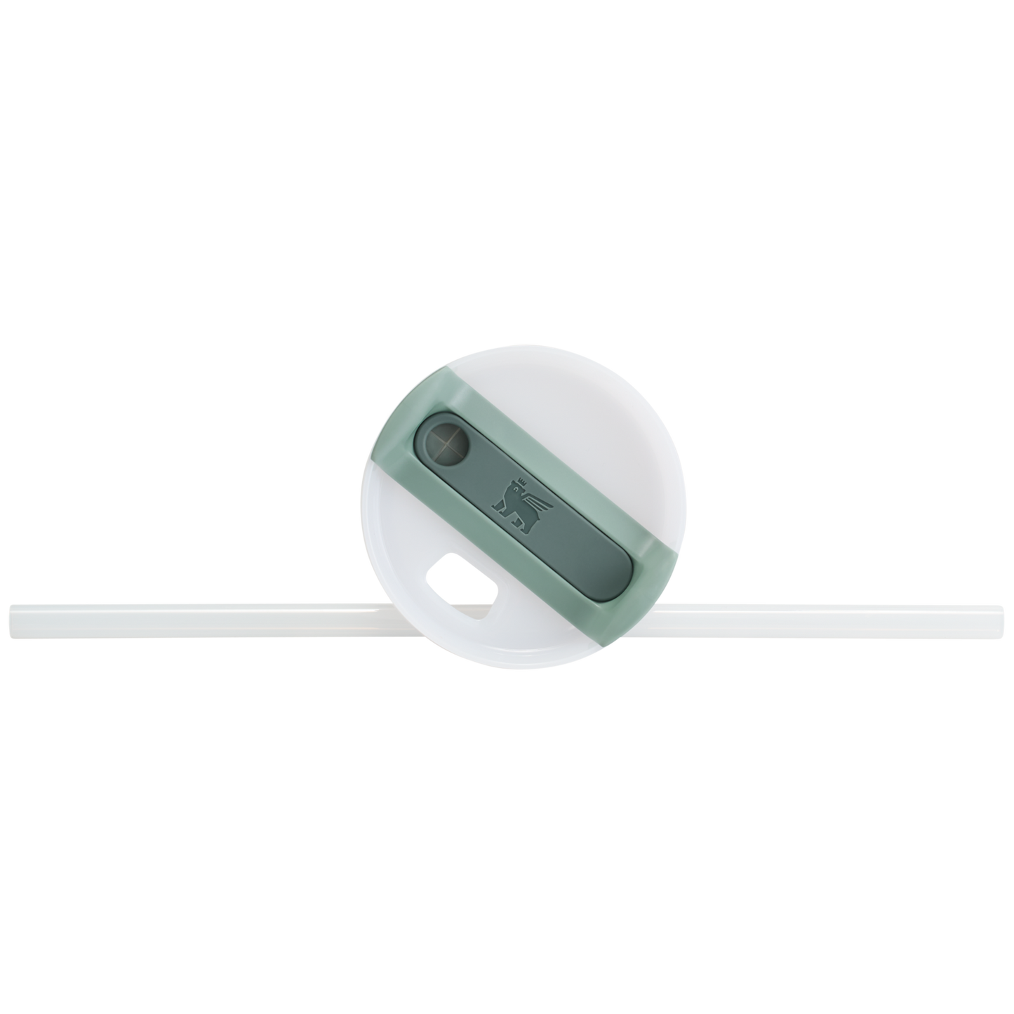 Stanley Quencher H2.O FlowState Tumbler Cup 30 OZ In Shale Green