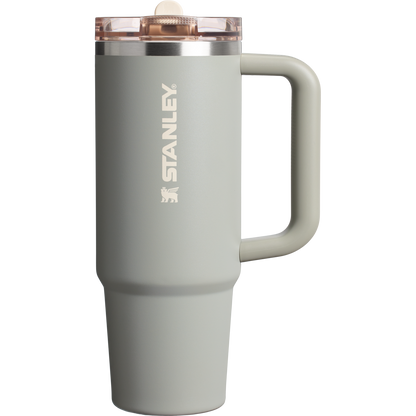 Stanley Quencher ProTour Flip Straw Tumbler Cup 30 OZ In Sage Grey